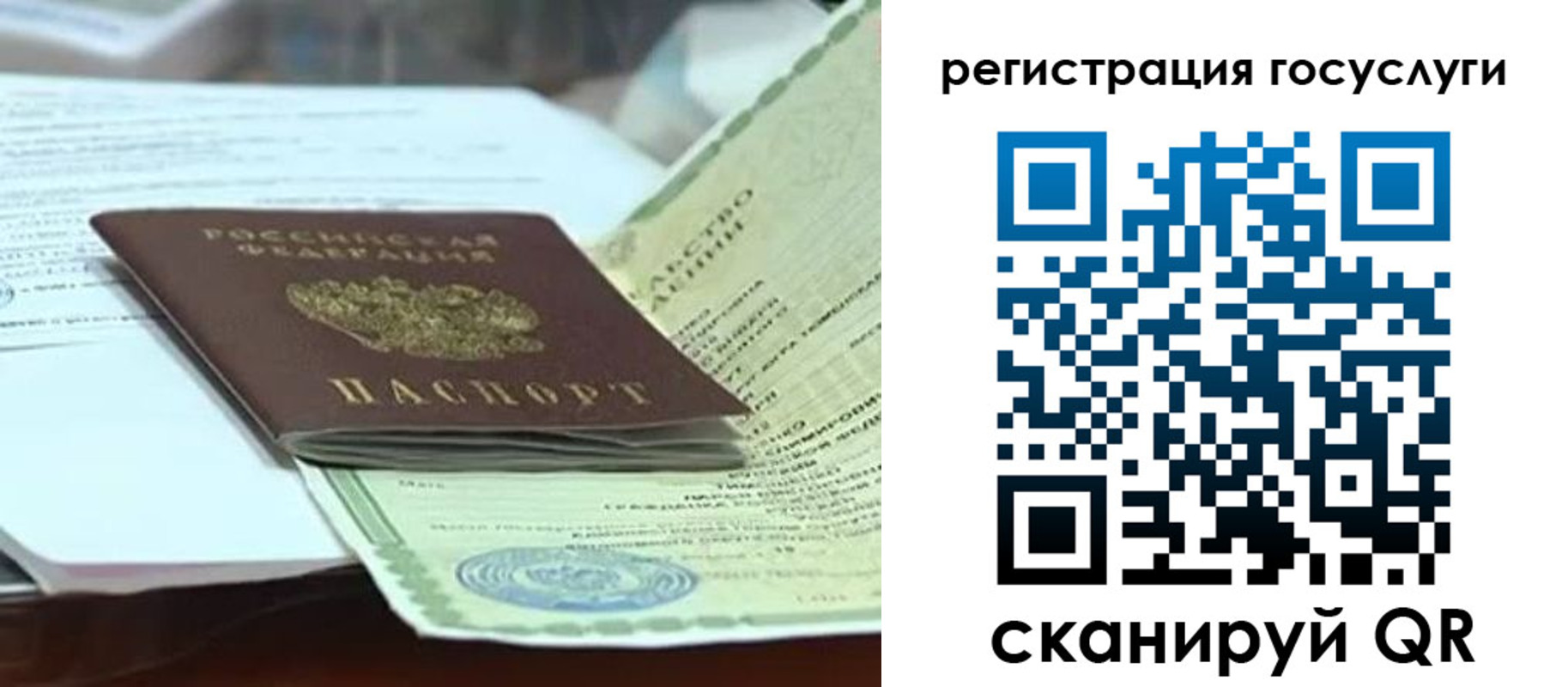 прописка в квартире в Фрязино
